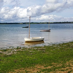 75 Yacht masts on the estuary at Wrabness (part 1)