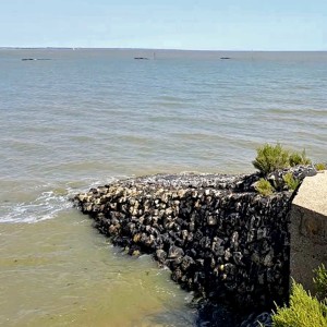 Rising tide in the rock garden - the sea wall near Bradwell-on-Sea