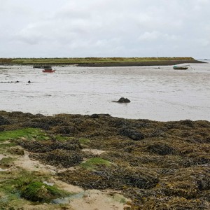 96 A blustery day begins on inland tidal water (headphones)