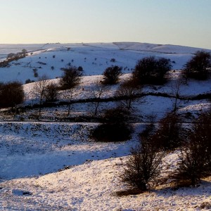 99 High in the hills amongst snow laden trees - Christmas special