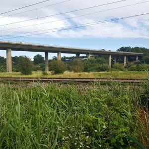 Brutalism and crickets of the A10 flyover