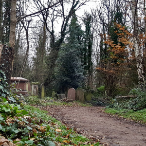 Abney Park on Christmas Day in the morning