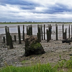Low tide on the Thames Estuary at Benfleet creek (no loud noises and best with headphones)