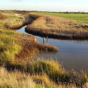 43 Tidal water mirror still - a sound view from Canvey Island