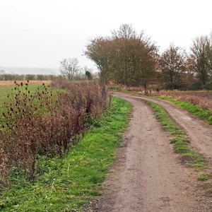 Bucolic contrasts under low cloud - the land between Sandy and St Neots