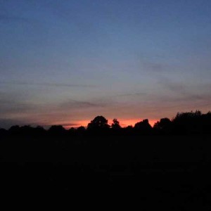 Suffolk Wood (part 3) - 10pm