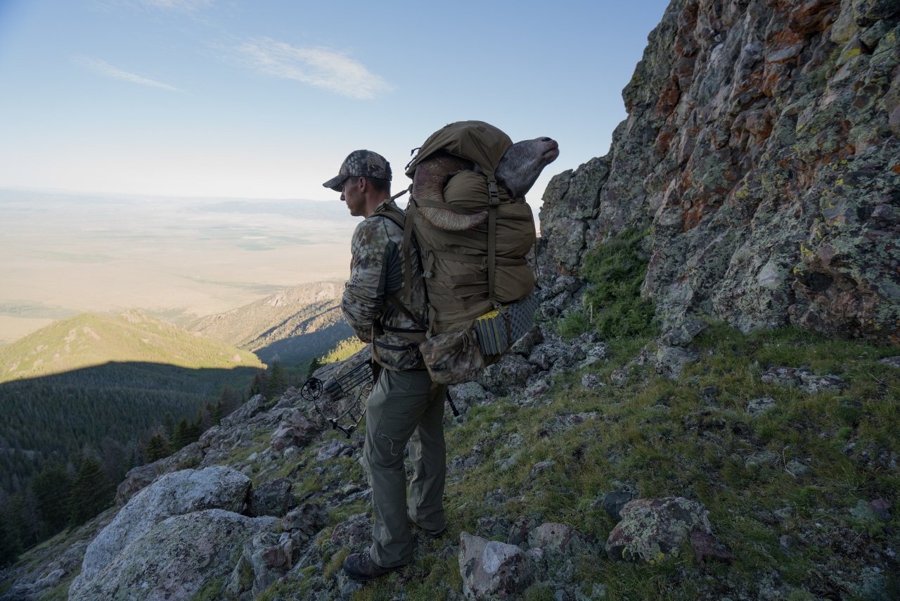 CB 50 - Alpha Bowhunting Challenge rules and format