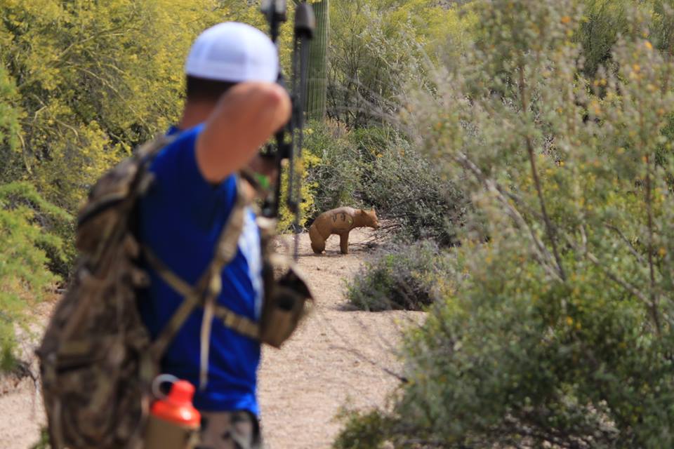 CB 45 - Breaking down the 3D portion of Train to Hunt 