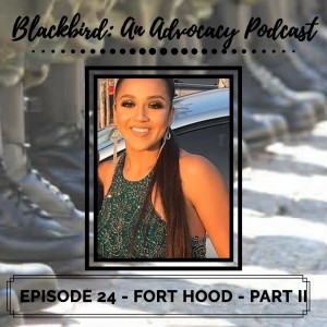 Episode 24 - Fort Hood - Part II