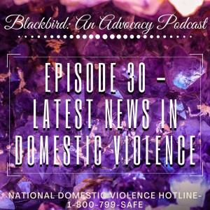 Episode 30 - Latest News in Domestic Violence