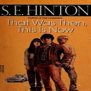 Episode 23: ”S.E. Hinton’s Endings that Echo”