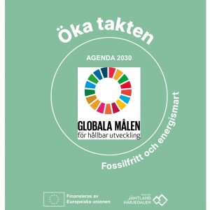 Agenda 2030 – ett globalt hållbarhetsmål
