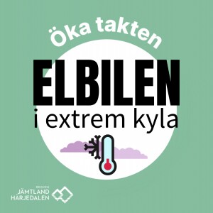 Elbilen står ut i sträng kyla