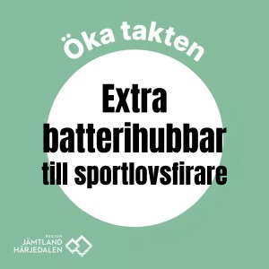 Så tar du elbil till fjällen