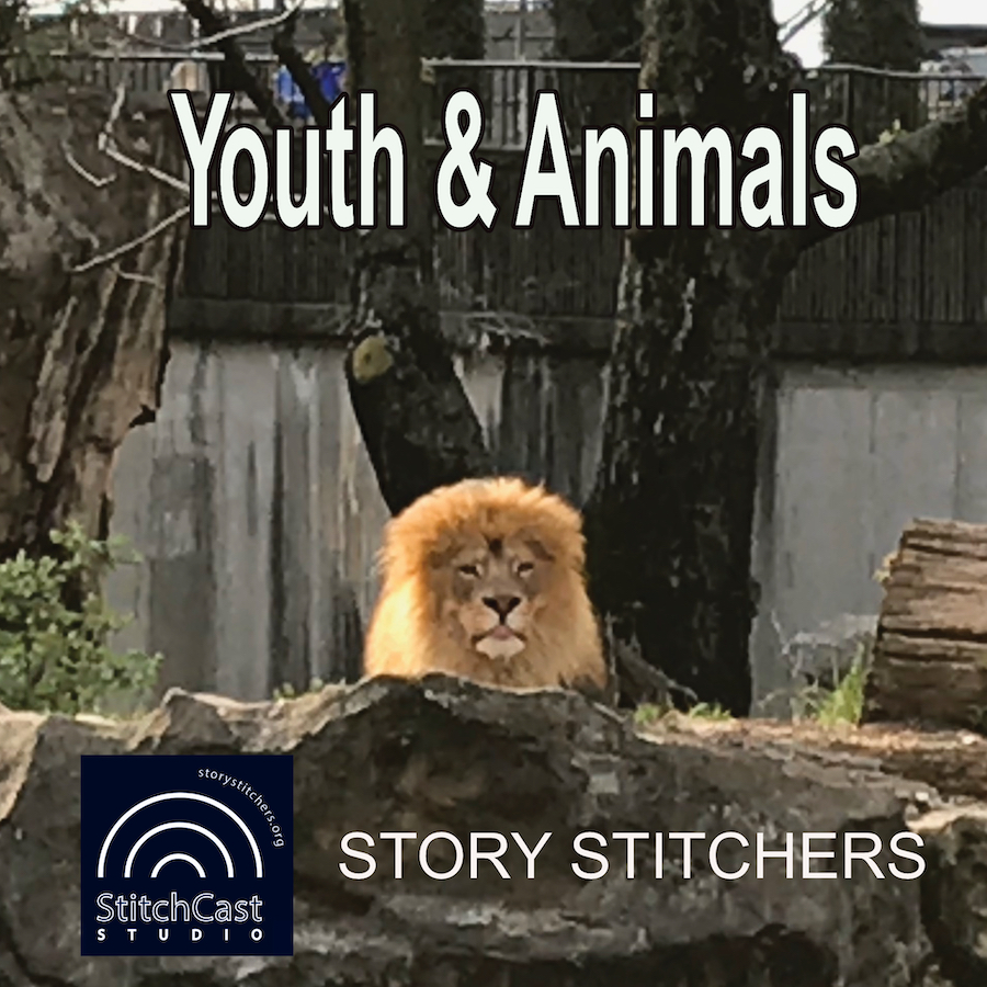 StitchCast Studio