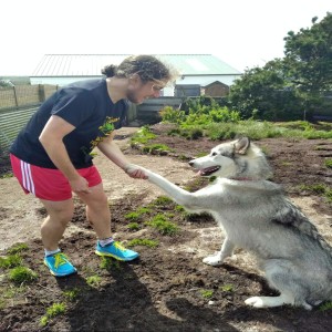 Running For The Dogs: Owen Harney