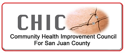 C.H.I.C. (Community Health Improvement Council)