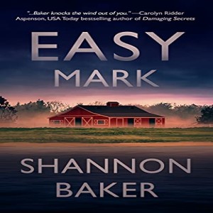 Write-On Four Corners- September 29: Shannon Baker, Easy Mark, and the other three Kate Fox mysteries