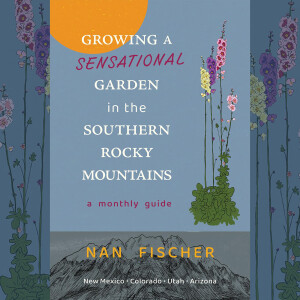Write On Four Corners with DelSheree Gladden: Interview with Nan Fischer