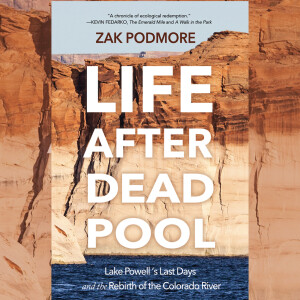 Write On Four Corners with DelSheree Gladden: Interview with Zak Podmore