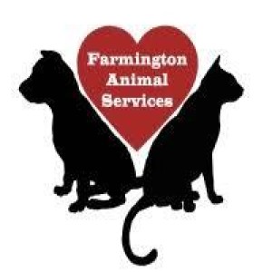 Adopt-A-Pet Tuesday, Amber Francisco, Farmington Regional Animal Shelter