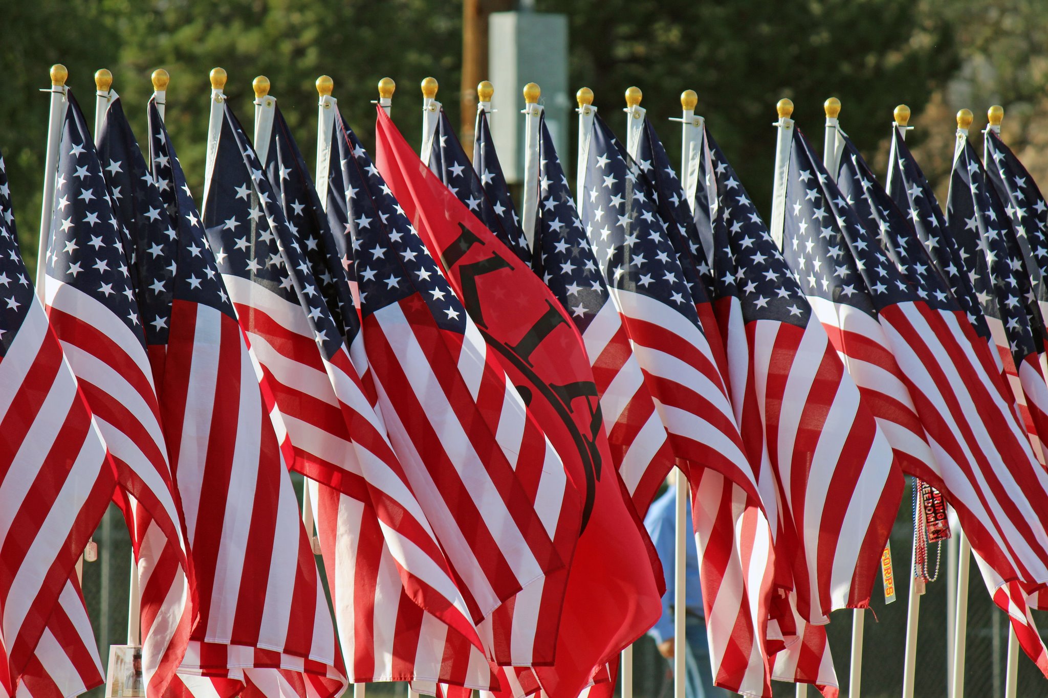 The Healing Field