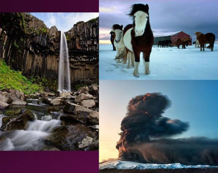 Global Studies: Iceland
