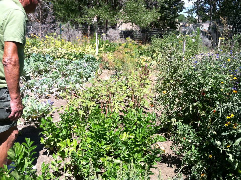 New Beginnings Community Garden