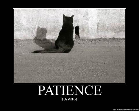 PATIENCE is a Virtue