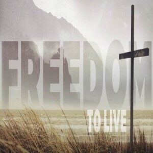 Freedom To Live (Eddie)
