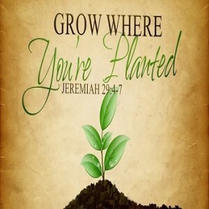 Growing Where You're Planted (Jason)