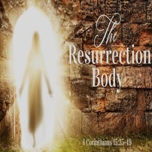 Superhuman - The Resurrected Body Of Christ