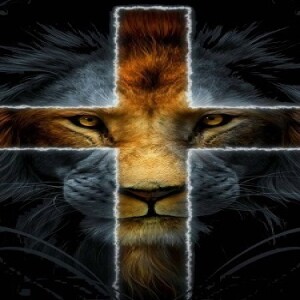 The Lion Of Judah