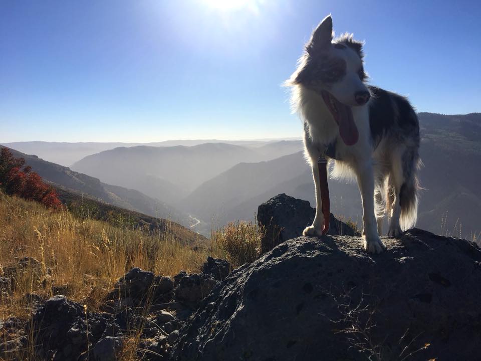 TrailManners
