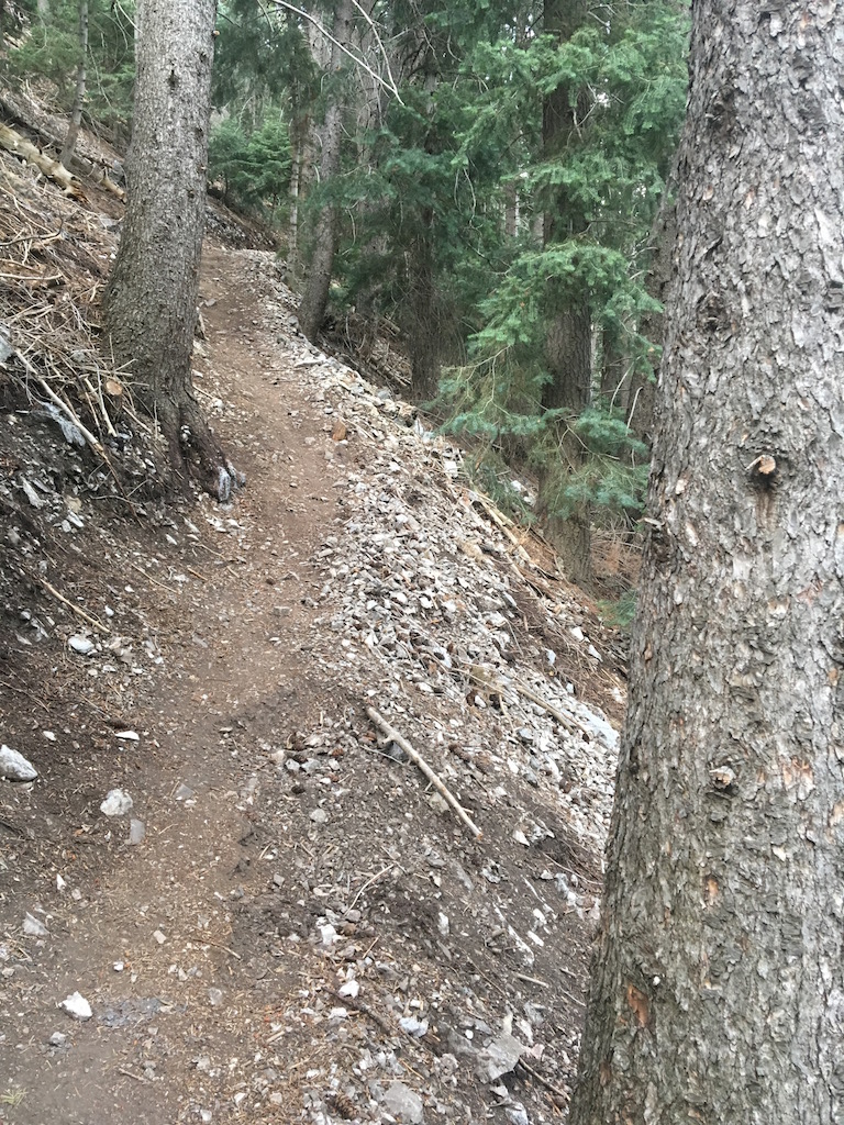 Singletrack Session #11