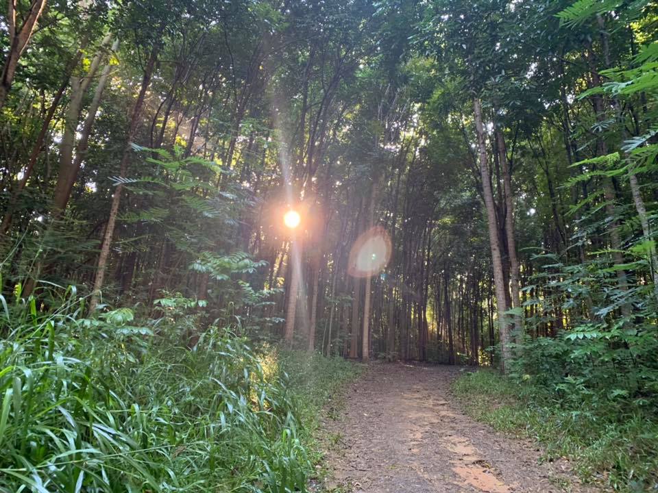 TrailManners