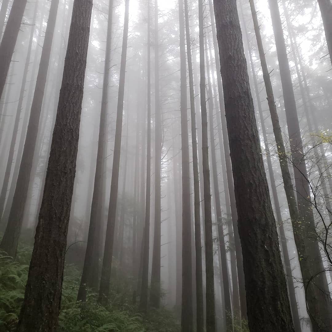 TrailManners