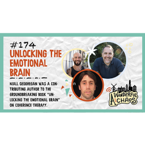 Ep. 174 | Unlocking the emotional brain with Niall Geoghegan