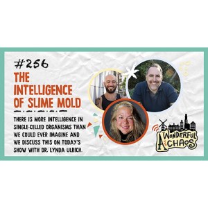 Ep. 256 | The intelligence of slime mold with Dr. Lynda Ulrich