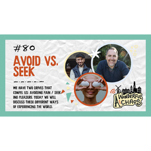 Ep. 80 | Avoid and seek with Andy and Bambos