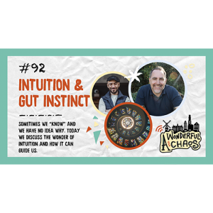 Ep. 92 | Intuition & Gut Instinct with Andy and Bambos