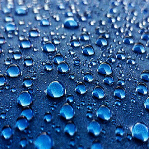 Everything You Need to Know About Car Paint Protection