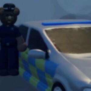 Mr Police Baer
