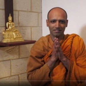 Venerable Nibbuto | Buddha's Vaccine | The Armadale Meditation Group