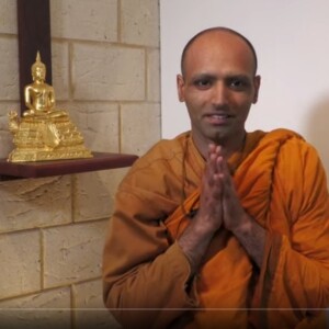 Venerable Nibbuto | Meditate Before Bed | The Armadale Meditation Group