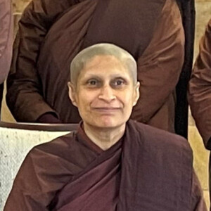 What Can We Learn From Nature | Venerable Jenti | The Armadale Meditation Group