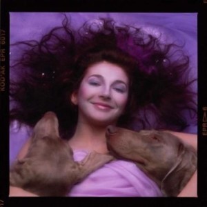 RIOT!'s Hounds of Love at 35 Special
