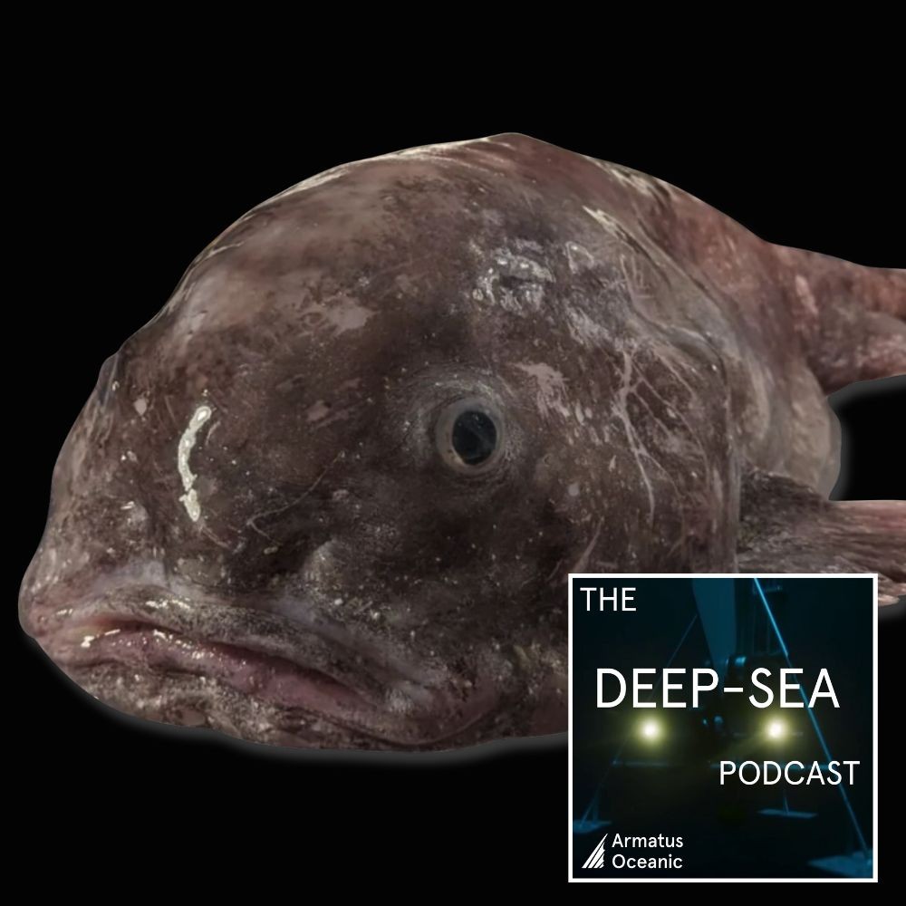 The Deep-Sea Podcast
