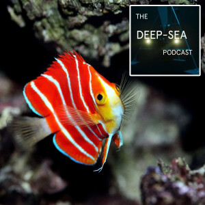 Mesophotic Reefs with Yi-Kai Tea