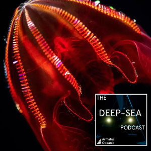 023 – Keeping deep-sea animals with The Monterey Bay Aquarium